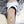 Volital Bone Sandals