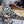 Volital Leopard Sandal