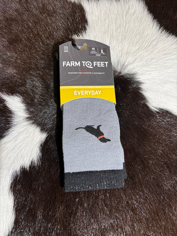 Farm to Feet Socks Everyday Dog Pattern