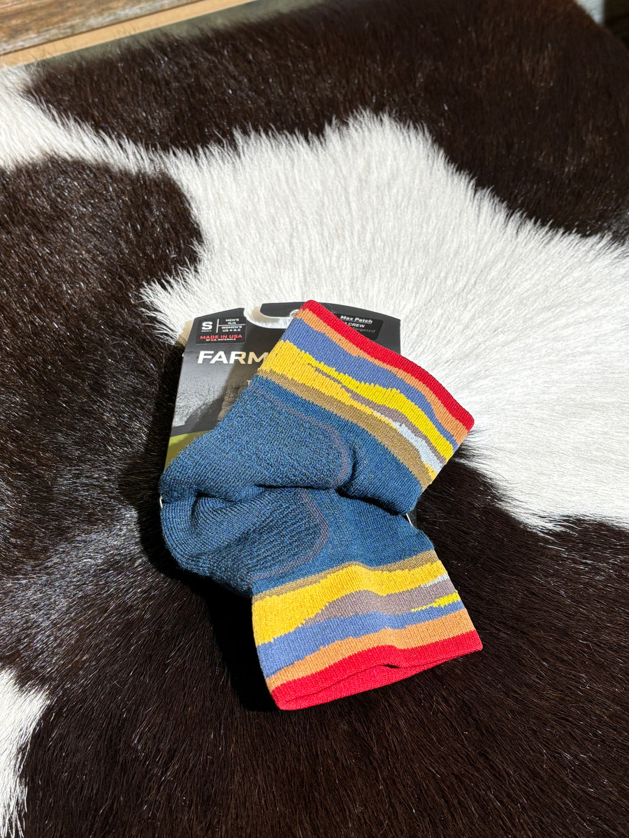 Farm to Feet Socks 1/4 Crew Trail
